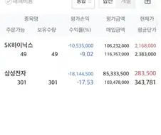 주식) 계란을 한 바구니에 담지 말라고 했음