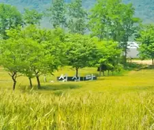 니들은 성심당이 딸기밭만 있는줄 알지!!!