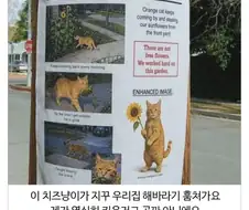 고양이 관리 좀 잘하라는 이웃주민