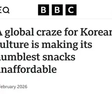 BBC “한국의 검은 반도체는 어쩌다 비싸졌는가”.jpg