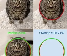 의외로 95.71% 원인것