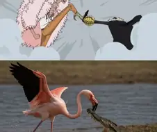 도황 진짜 씹 두렵지 않네.jpg