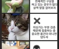 개발자에게 말걸 타이밍