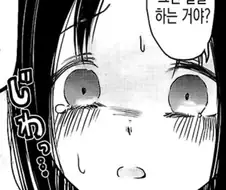 카구야님) 기시감이 느껴지는 짤