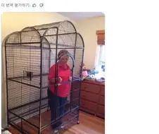"할머니를 밖에 못 나가게 할 거야"