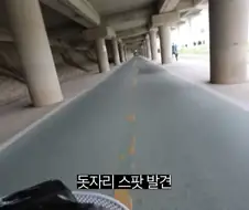 피크닉 나가서 닭 뜯는 유튜버.jpg