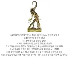 친구야, 넌 모르겠지만 정말 대단한 사람이야.img