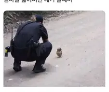 엄마를 잃어버린 애기 올빼미