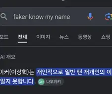 페이커 뮤비를 구글에 검색한 결과
