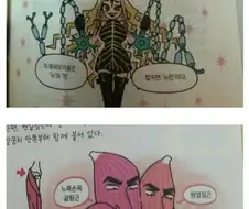 뭔가 이상한 교육 만화