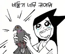비둘기가 너무 귀여운 만화