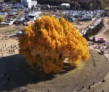 ???:어머 동안이세요