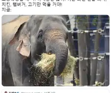 애들 편식에 너무 신경 쓰지 않아도 되는 이유