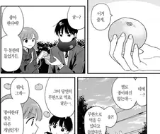 귤은 안좋아한다는 제주도민
