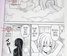 어쨌든 거짓말은 하지 않은.manhwa