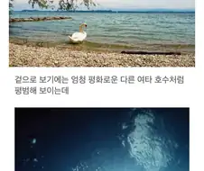 스위스 호수 깊은 곳에 숨어 있는 괴물.jpg