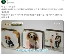 사연은 감동적인데 자료화면이 시강.jpg