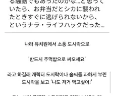 나라 유치원에서 소풍 도시락을 주먹밥으로 통일시킨 이유