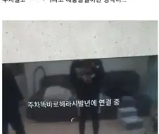TV 설치기사의 당황한 이유