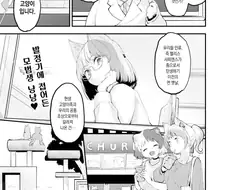 고양이 행성 수인들의 특별한 시기.manhwa