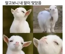 홍명보)체코 이겼을때 표정 꼴보기 싫었는데
