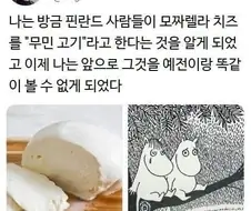핀란드 하마 고기
