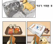반려동물을 키우기 전과 후.manhwa