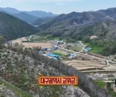 일본에서 1200km 를 날아서 한국으로 온 비둘기