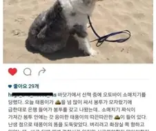 은행나오다 오투바이 소매치기 당한사람
