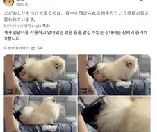 의미는 알겠는데 많이 부담스러운 행동