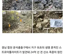 지구 생명의 비밀, 한국에서 찾았다.jpg
