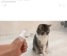 폭행 가해자가 피해자를 외면.jpg