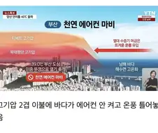 부산이 지금 다른 지역보다 더운 이유.jpg