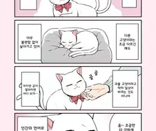 꼬리 둘 달린 고양이 만화