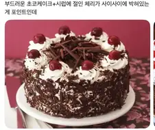 이거 무슨 케이크야?.jpg