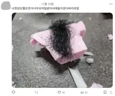 인생 첫 양모펠트 제작 후기.jpg
