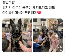 초등학교에 난입한 경찰견