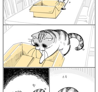 귀여운 고양이.manhwa