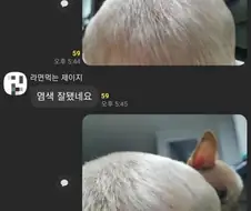 염색 잘됐네요