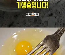 계란에서 이걸 발견한다면
