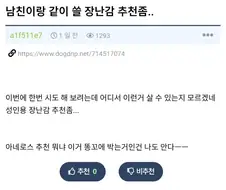 남친이랑 같이 쓸 장난감 추천 좀..