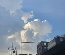 어무니 전기밥솥 망가졌다고 하는데 어디께 좋음?