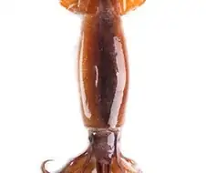 동네 중국집 짬뽕 재료중 보기 힘든거