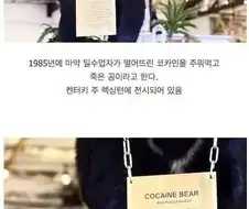 코카인 40kg 원샷.webp