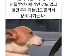 주식 불장에 대처하는 나의 자세
