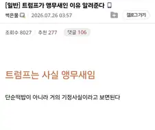 트럼프는 사실 앵무새임