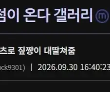 GPT 신규서비스 dots로 딸친새끼 등장