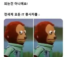 검색한다고 당신이 전문가가 되는게 아니라구요