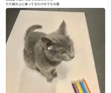 고양이 그림