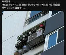아파트에서 식물 키우기